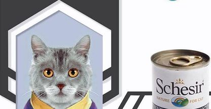 پت شاپ لاله