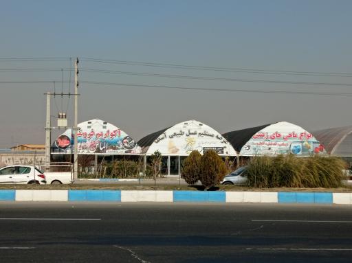 فروشگاه دالاهو