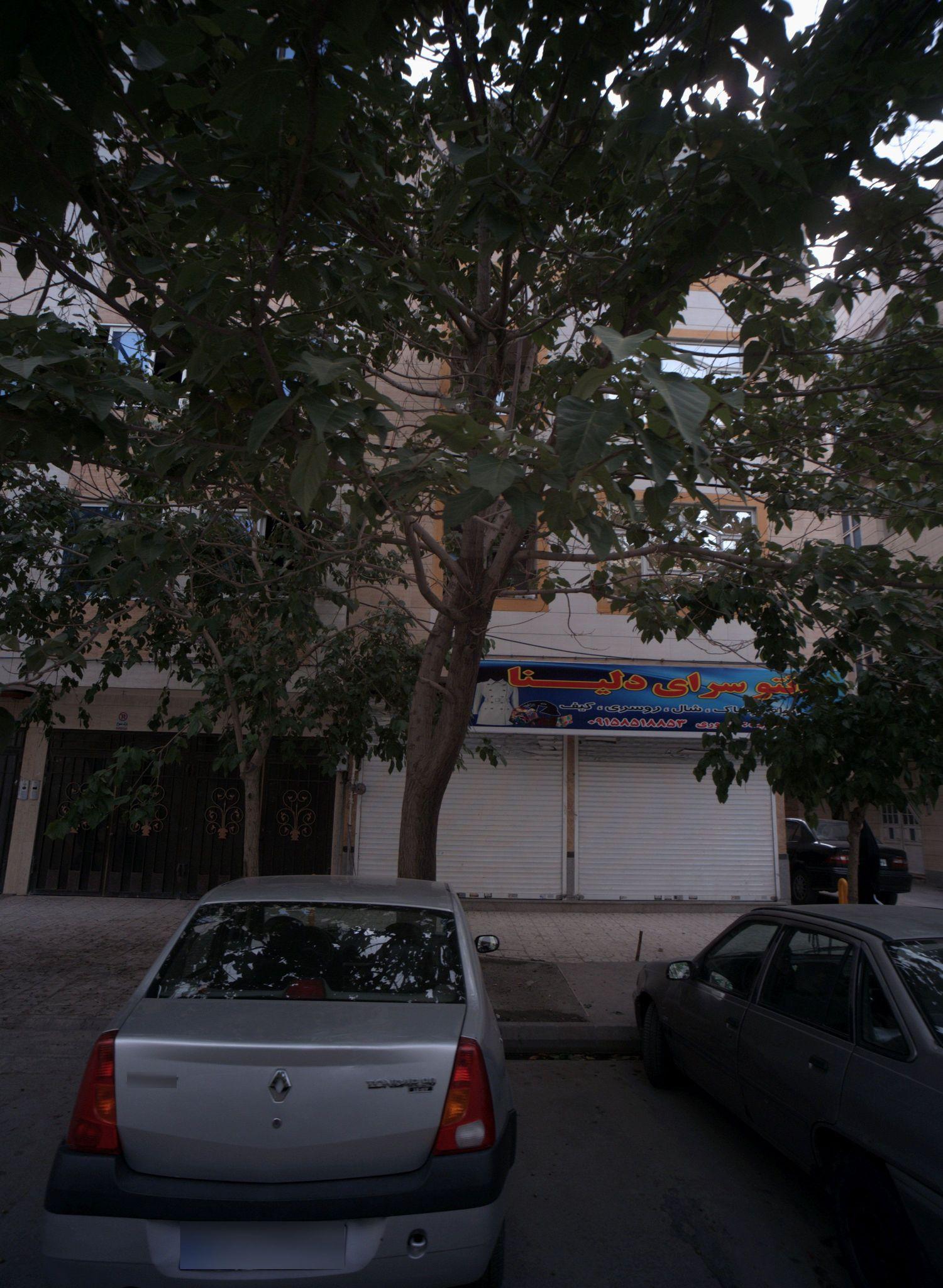 مانتوسرای دلینا