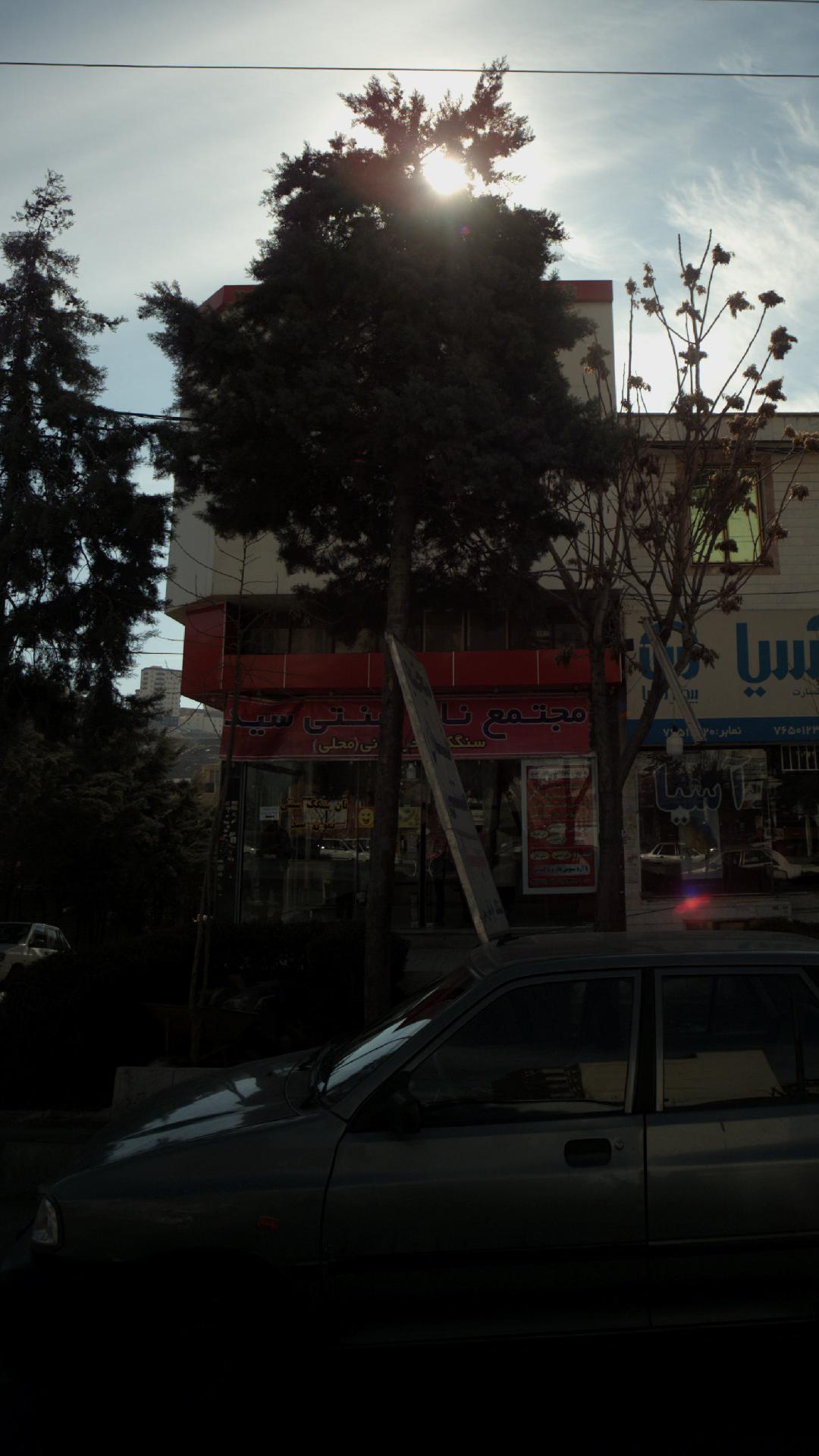 مجتمع نان سنتی سید