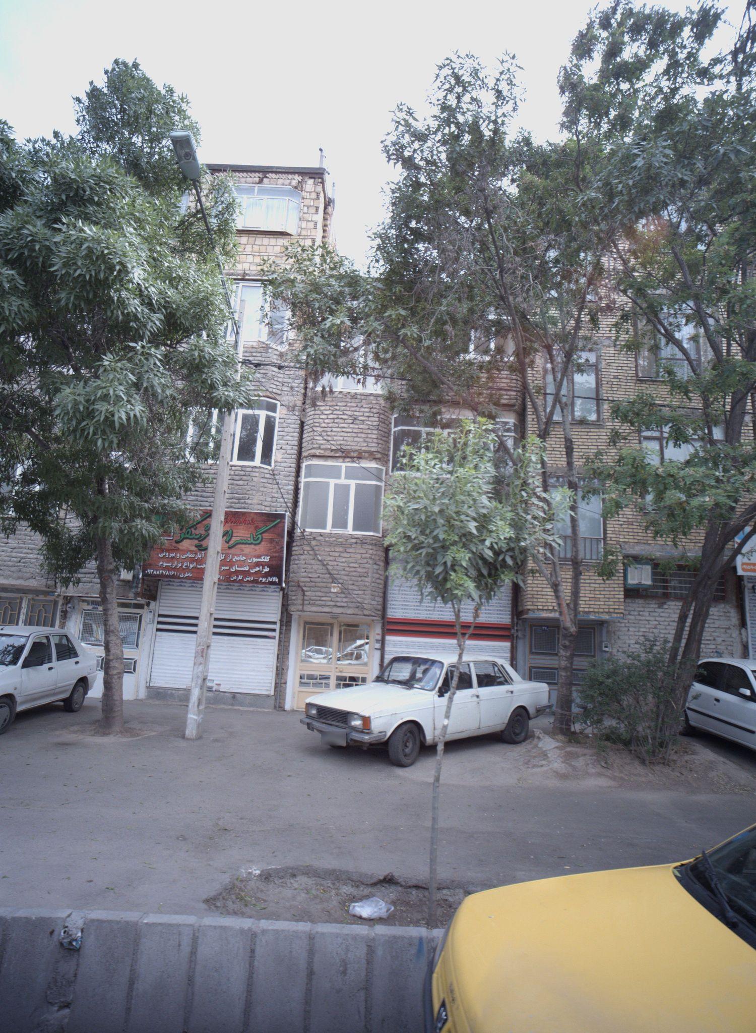 گلسرای ژینکو2