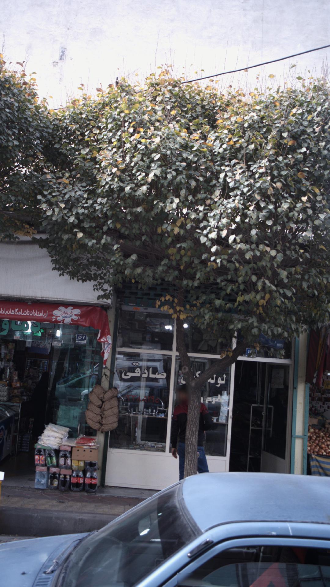 لوله کش صادقی