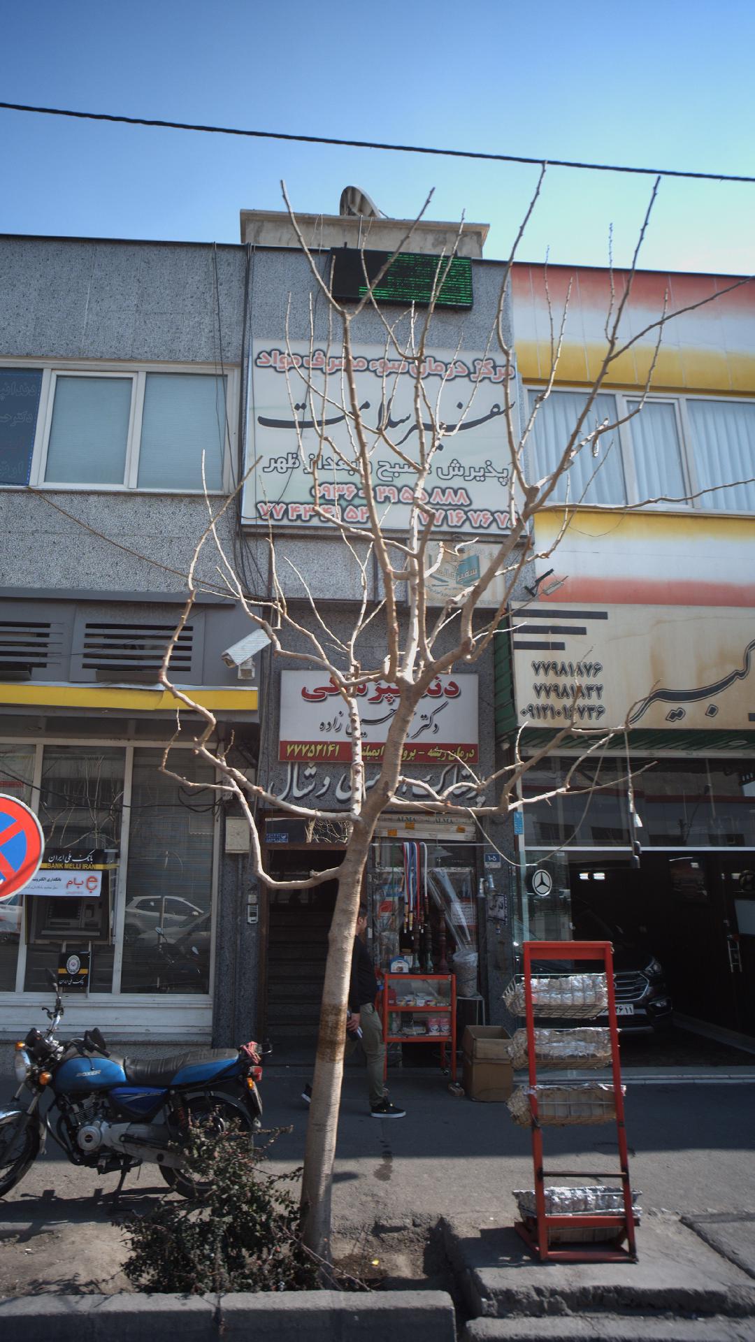 دکتر محتبی حسین زاده