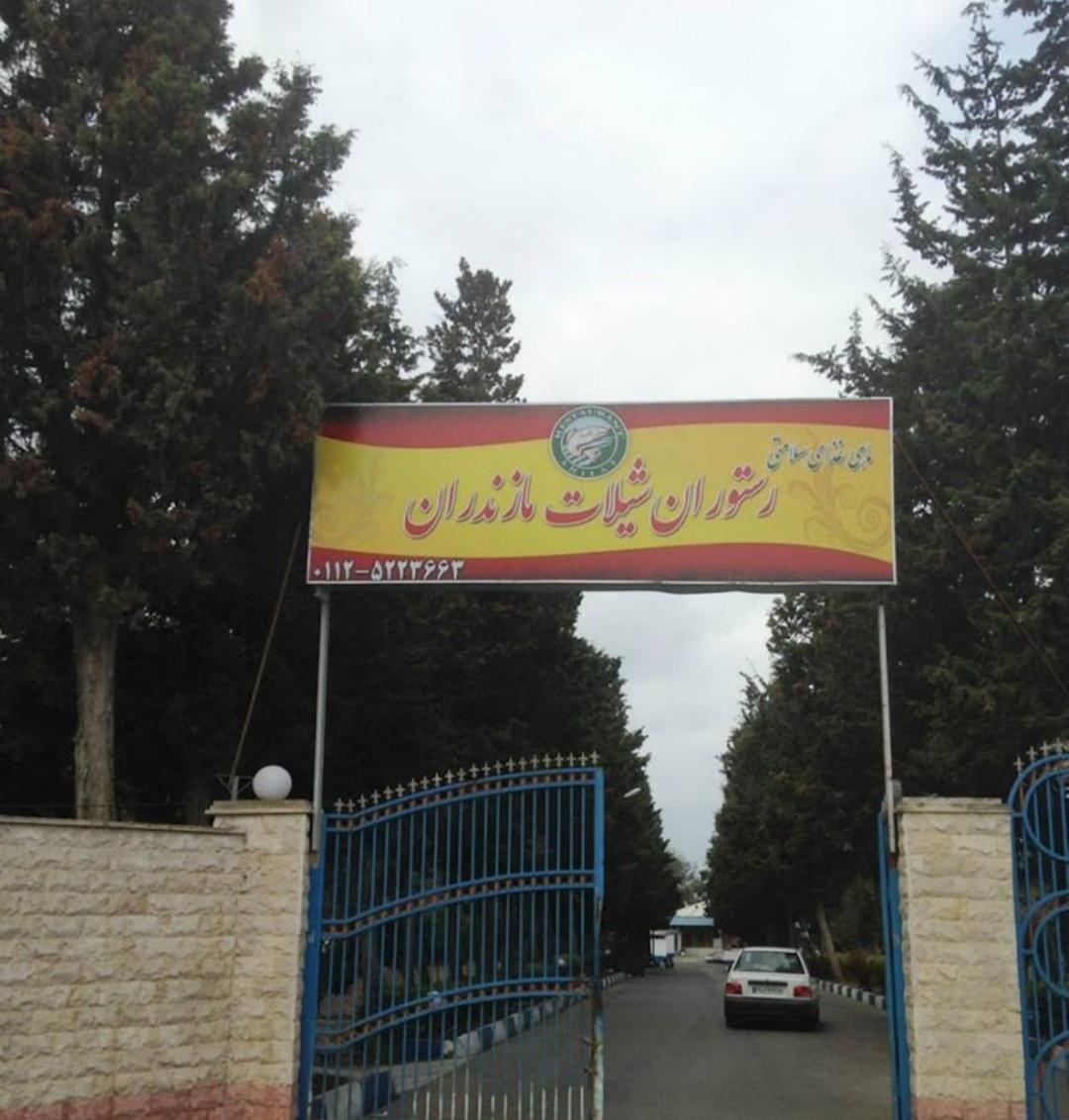 رستوران شیلات