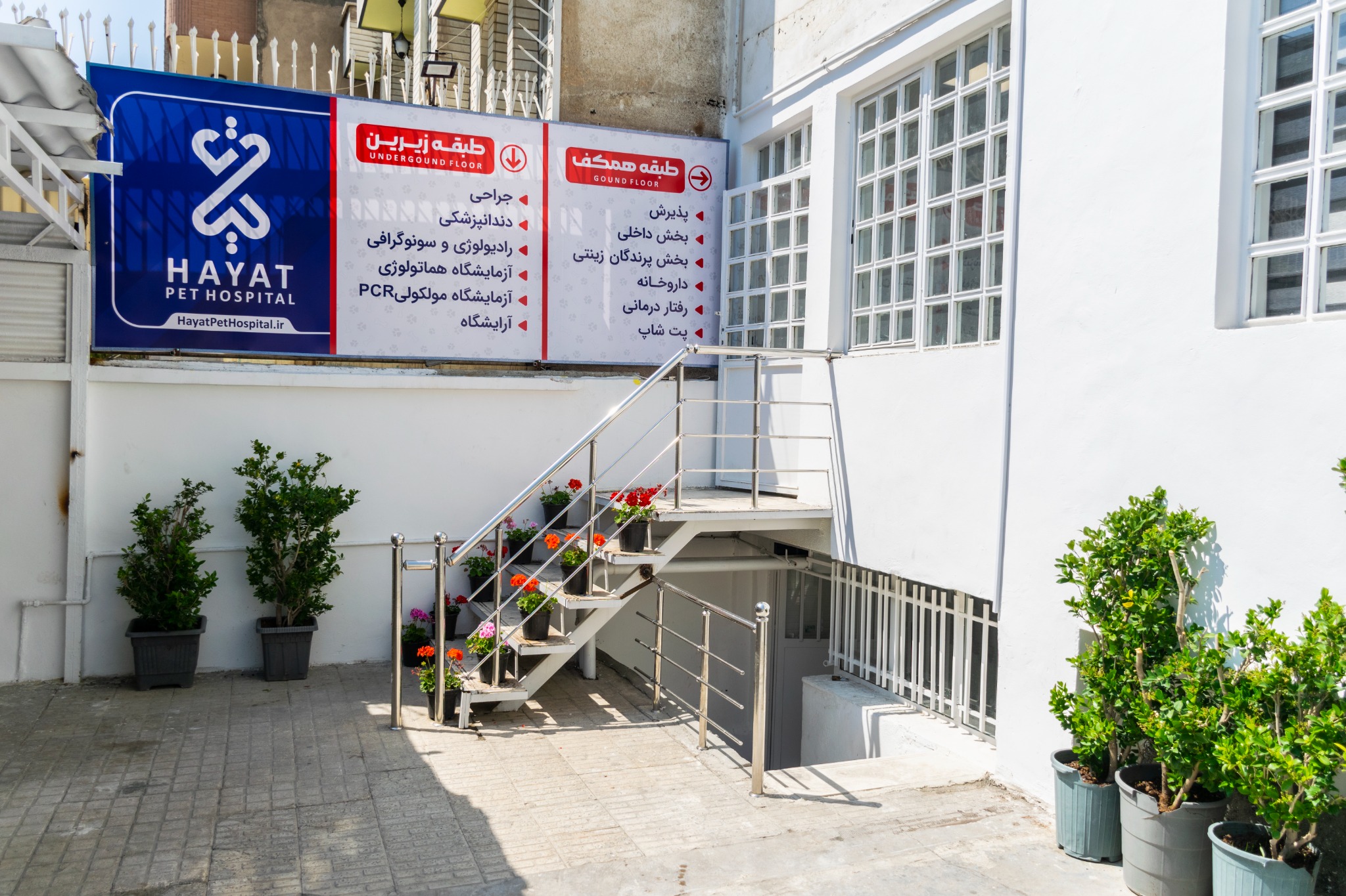 بیمارستان دامپزشکی حیات