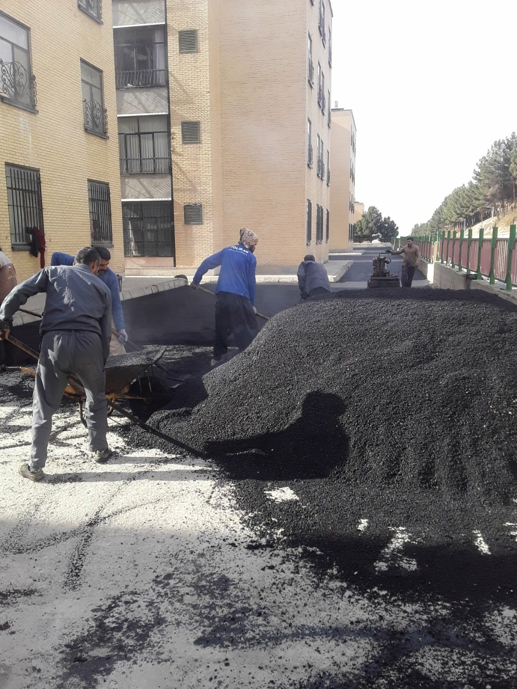 ایوب کرمی