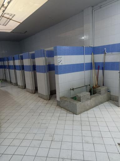 سرویس بهداشتی