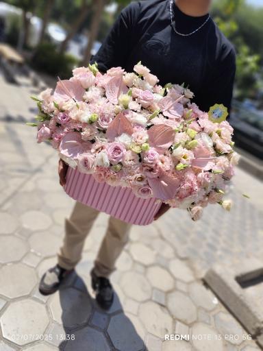 گل گیشا