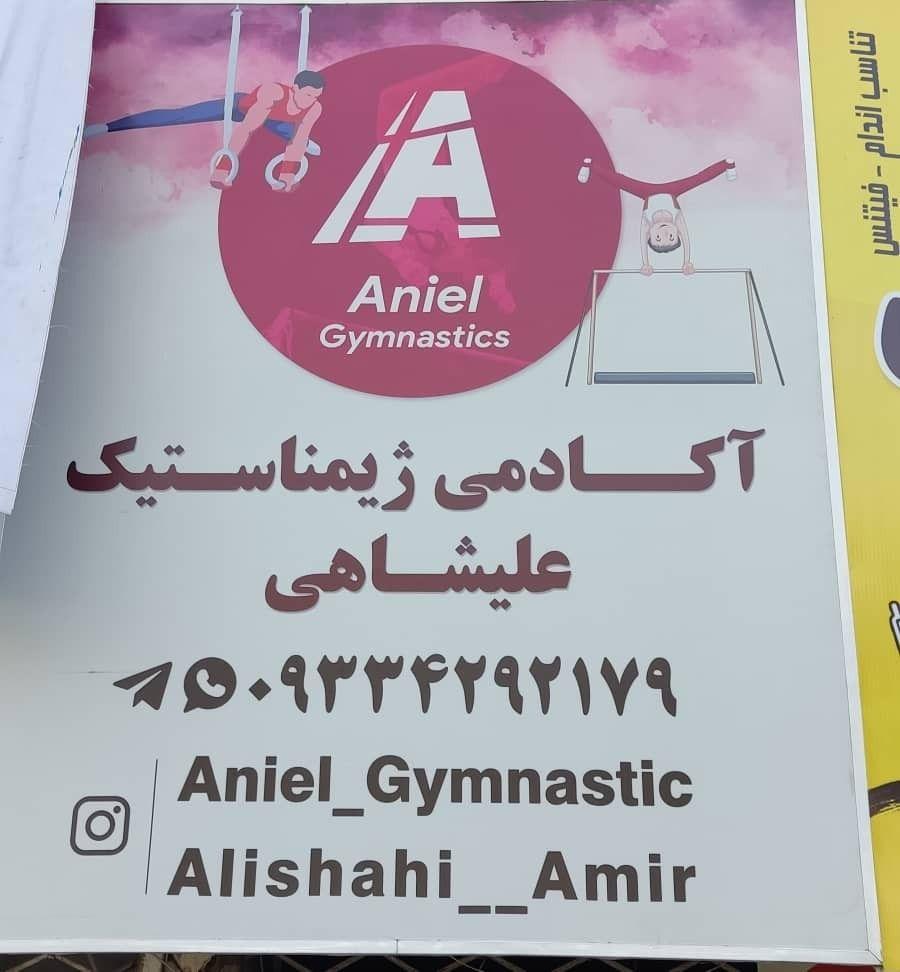 آکادمی ژیمناستیک علیشاهی