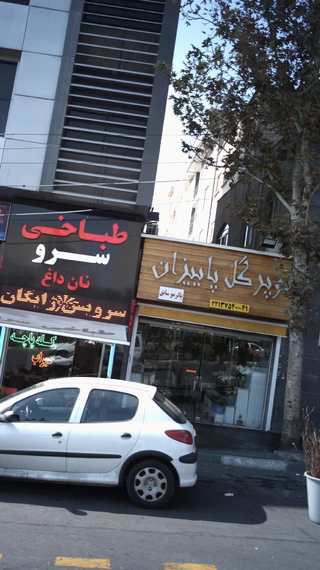 سوپرگل پاییزان