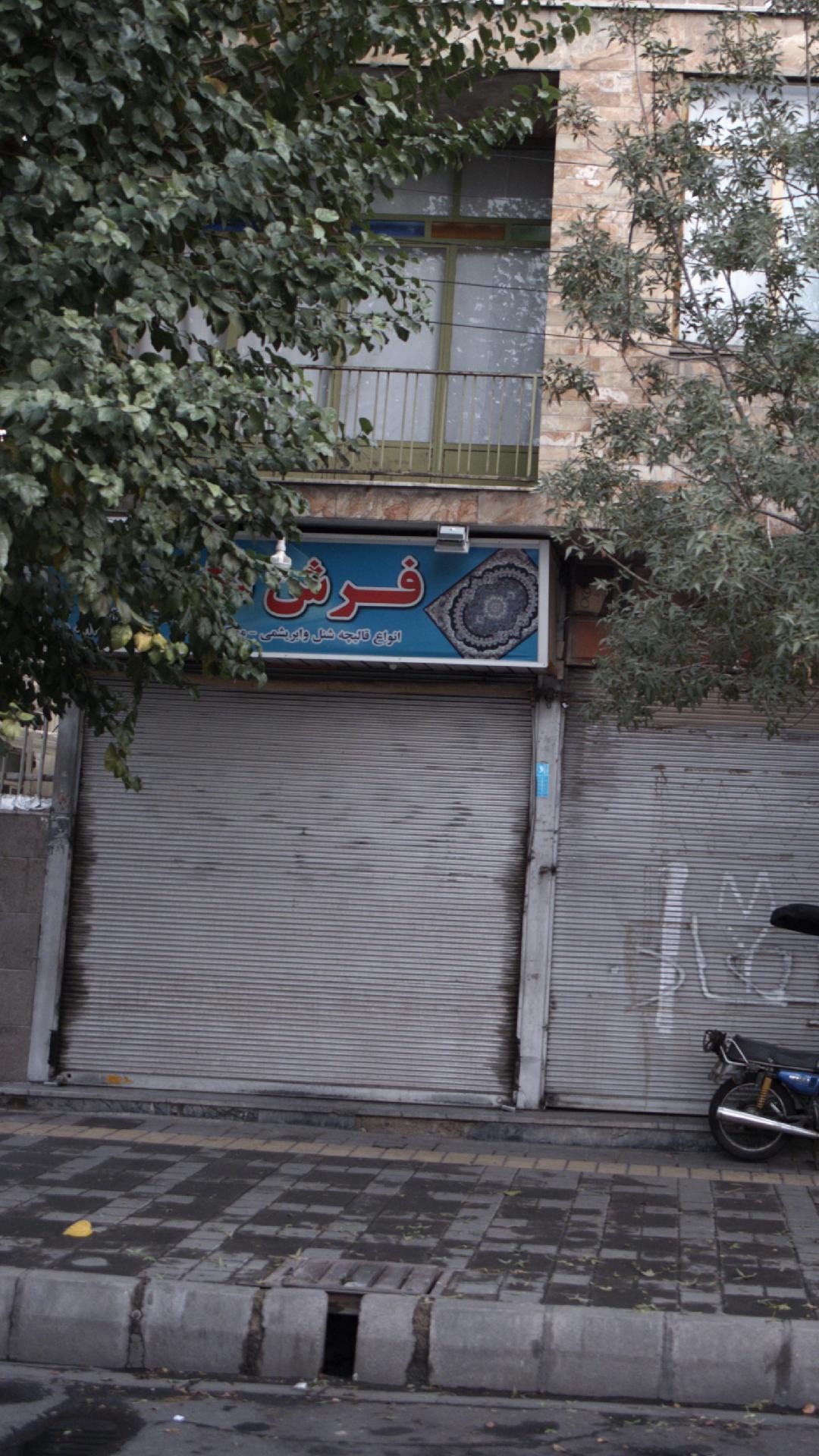 گالری فرش دستبافت شربیانی