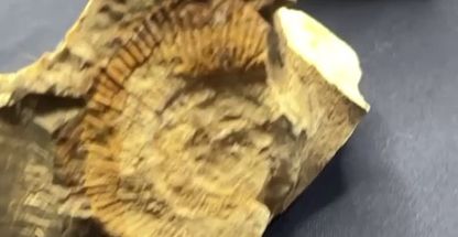 فروشگاه تجهیزات کوهنوردی دیجی سفر