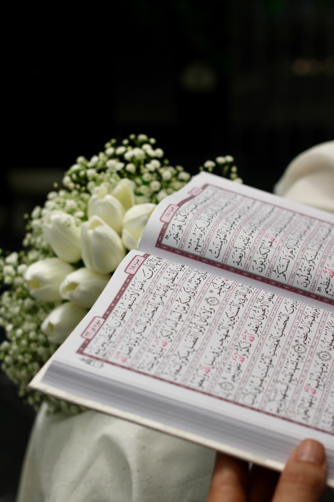 خدمات عکاسی فال