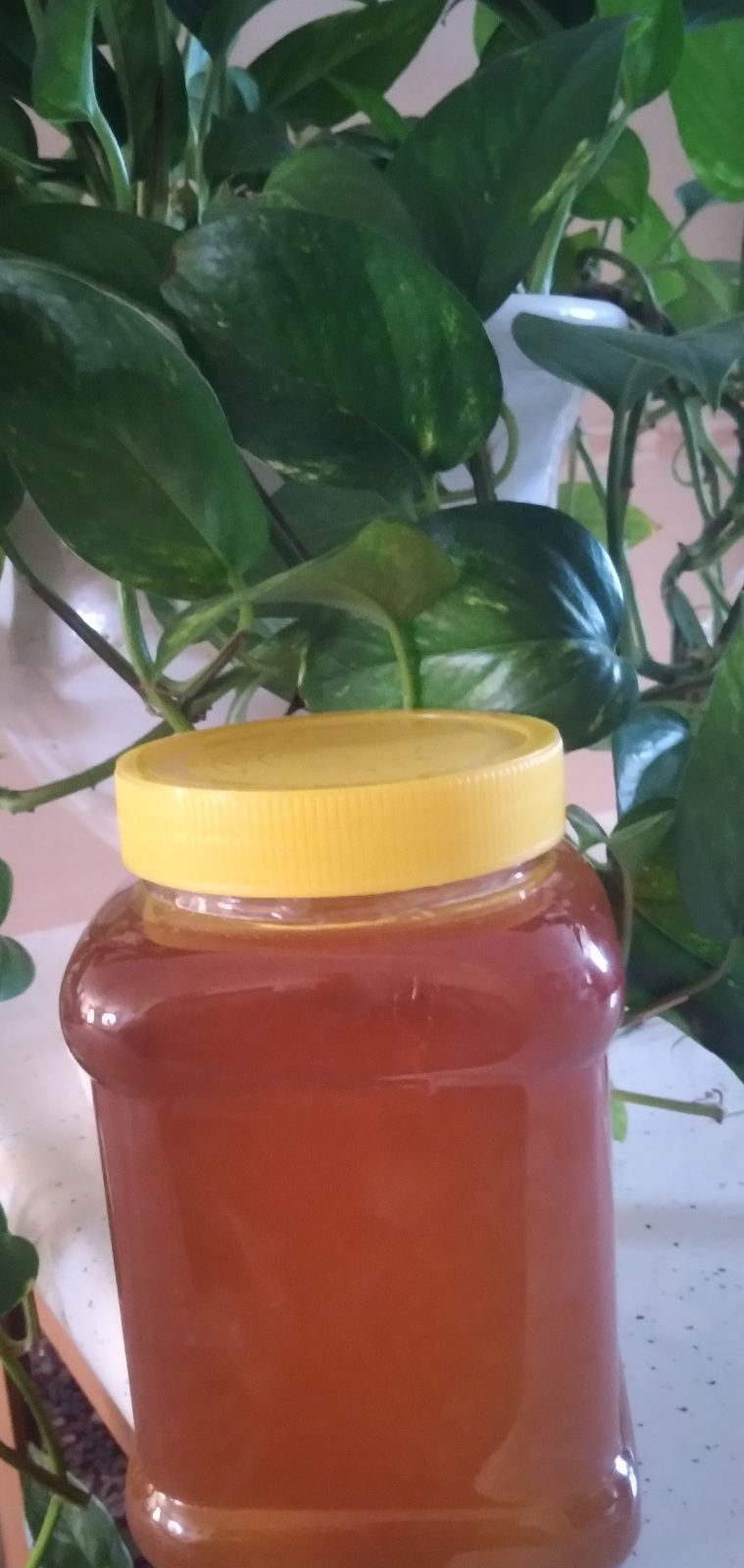 عسل طبیعی ناب