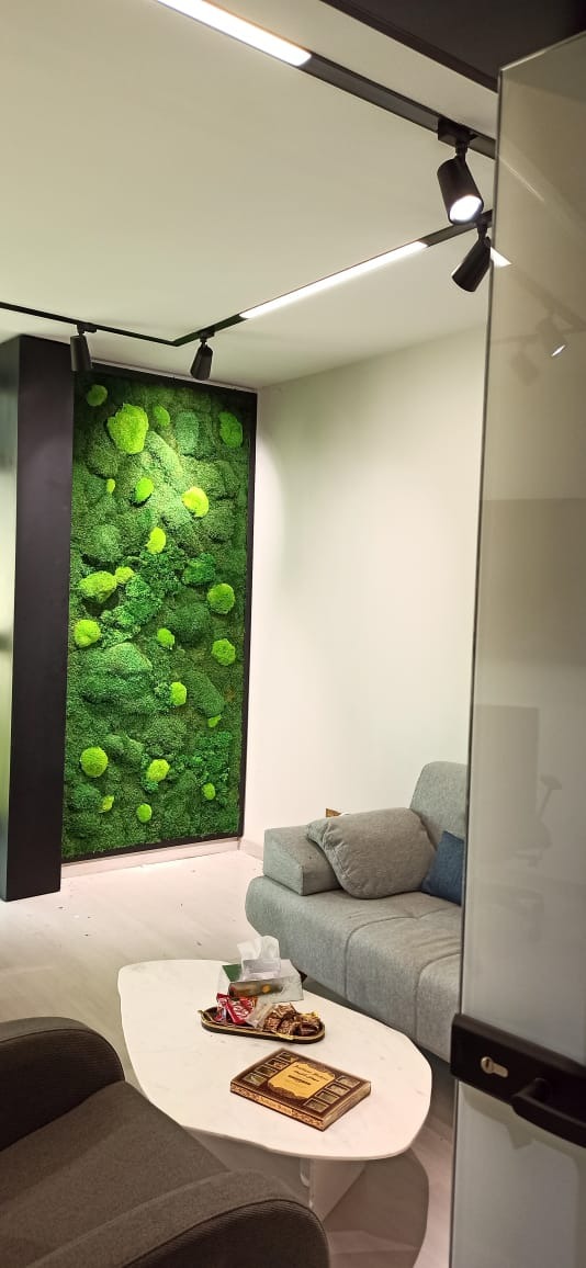 پلنت پلاس | PLANT PLUS