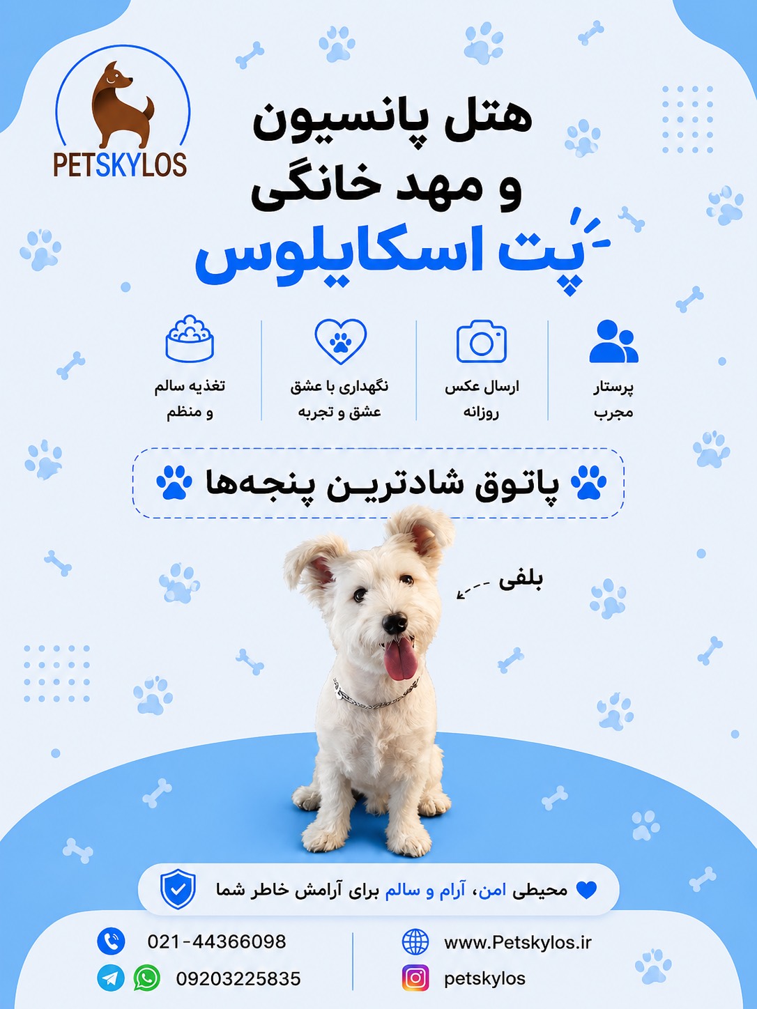 مرکز هتل پانسیون حیوانات خانگی پت اسکایلوس