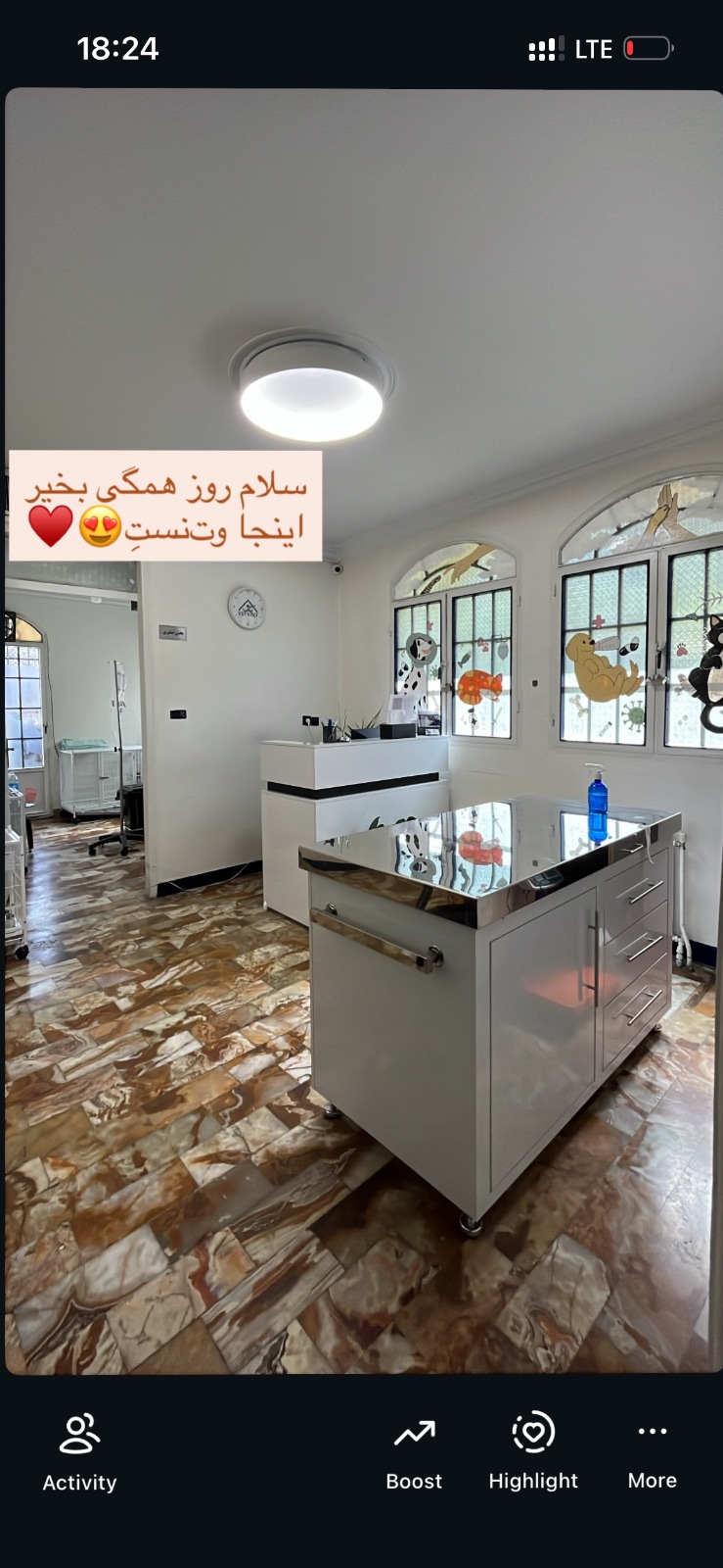 بستری و پانسیون حیوانات وت‌نست
