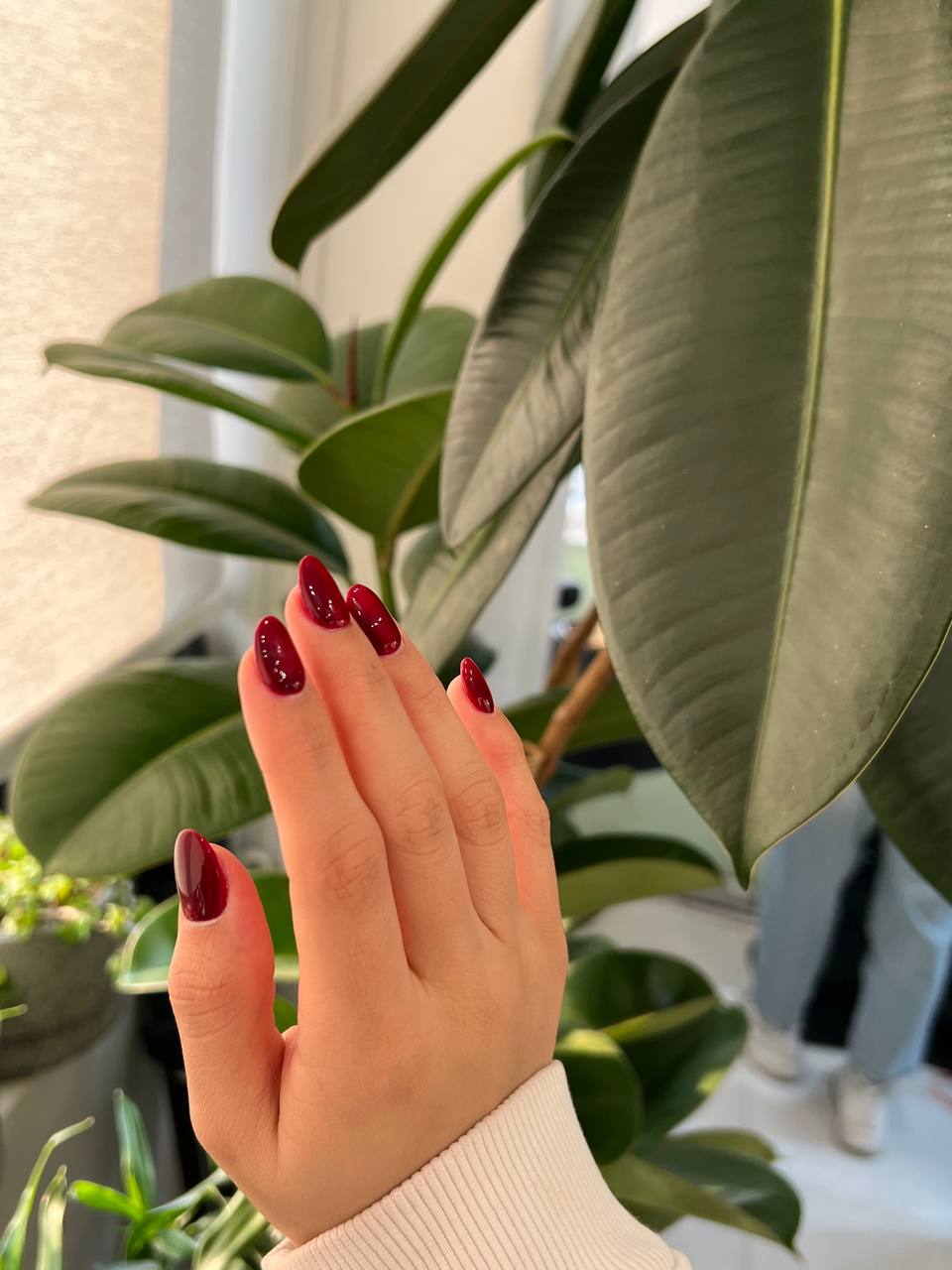 خدمات تخصصی ناخن ماهرو(جشنواره ویژه)