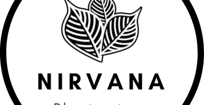 گل و گیاه نیروانا Nirvana Plant