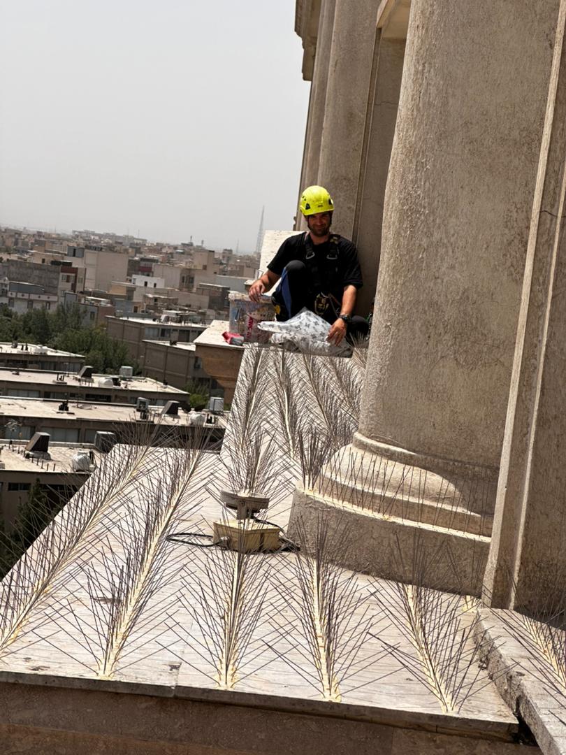 سمپاشی موریانه اراک