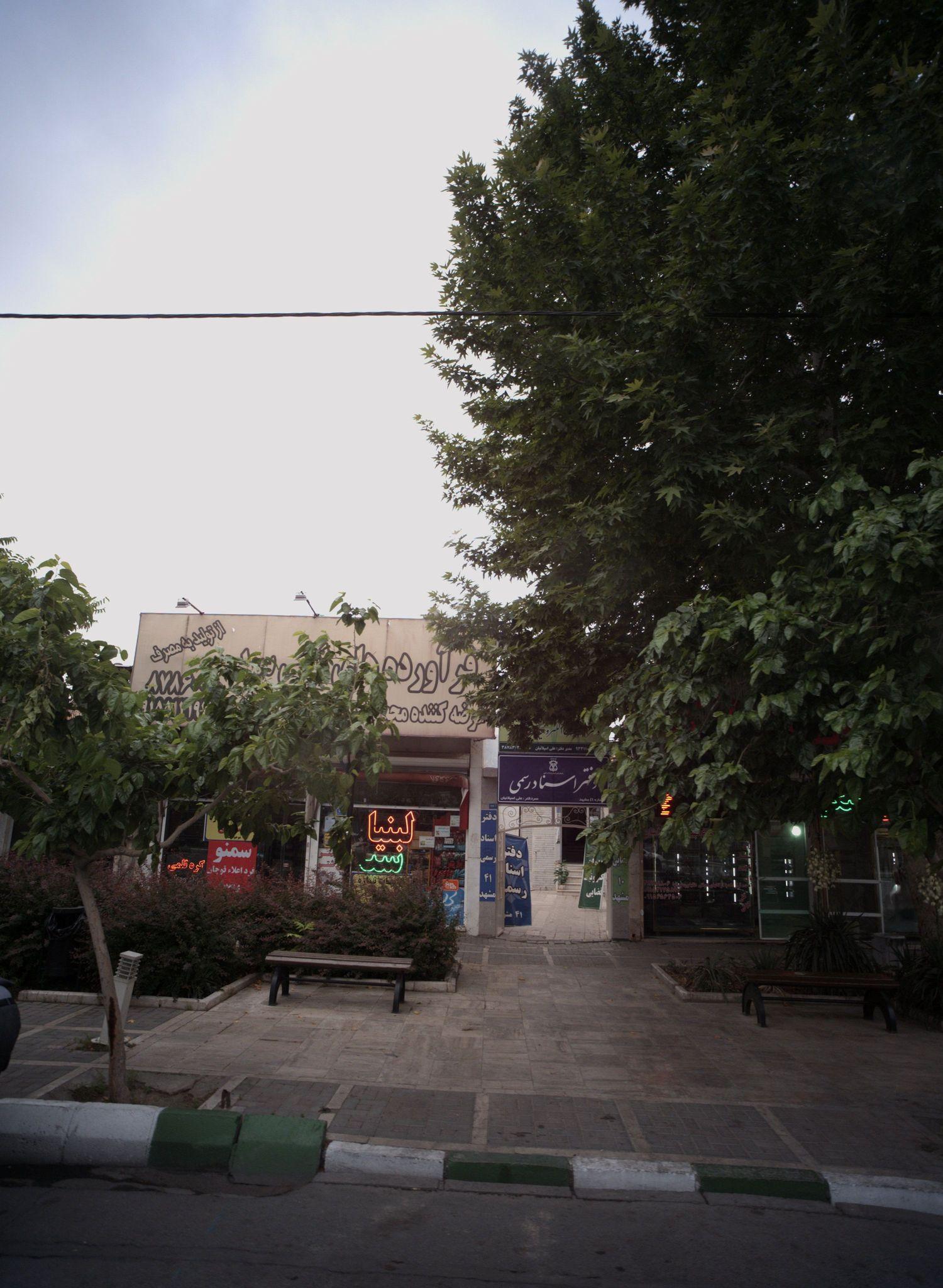 فرآورده های لبنی سید