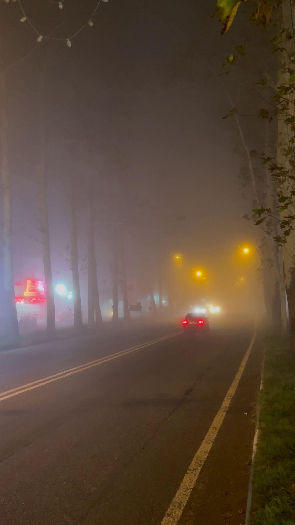 شیرینی الف شعبه فومن