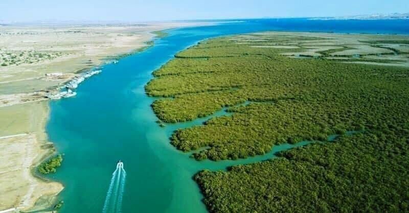 منطقه حفاظت شده جنگل حرا