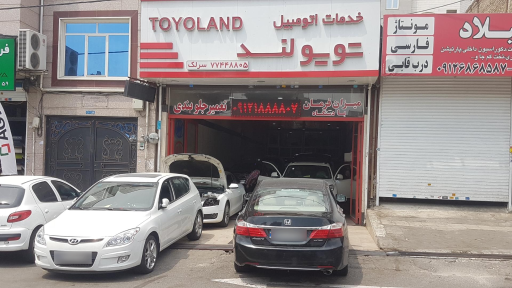 تویولند