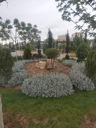 پارک