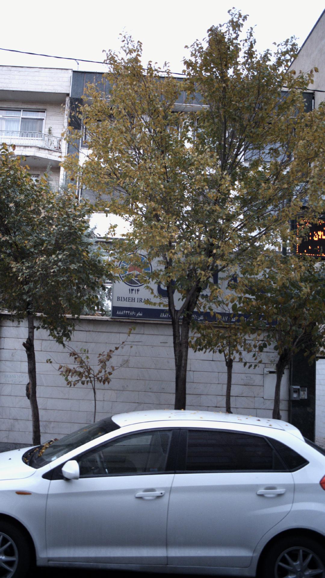بیمه ایران نمایندگی یحیی پور