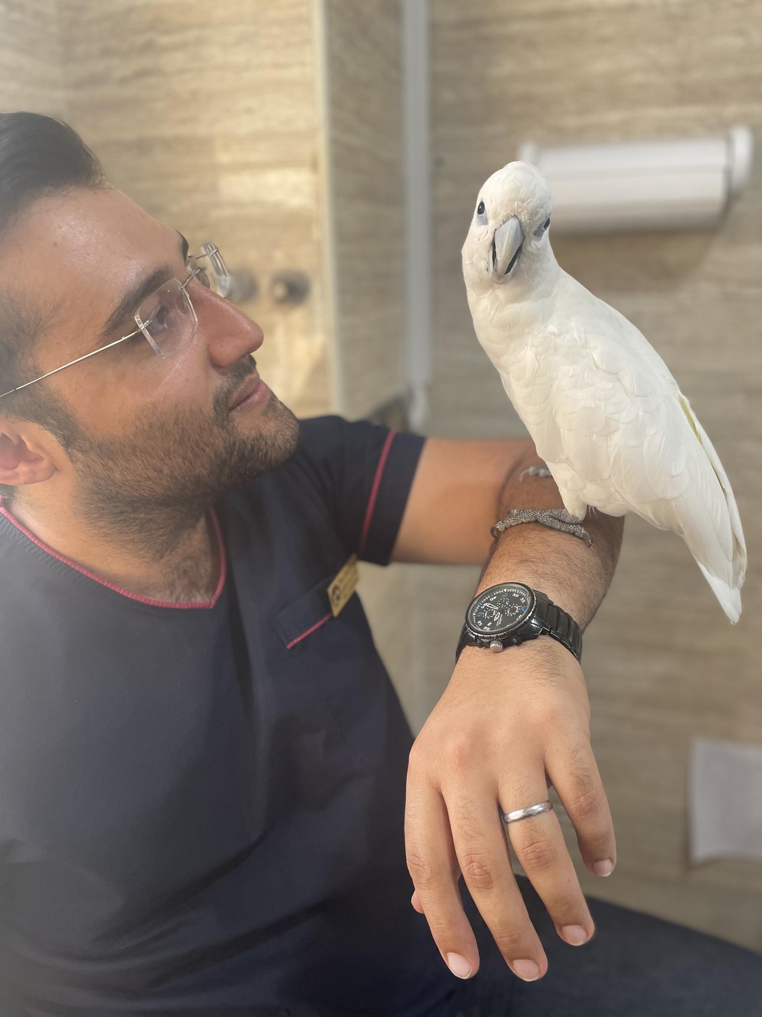 کلینیک دامپزشکی و پت شاپ شوکا آمل