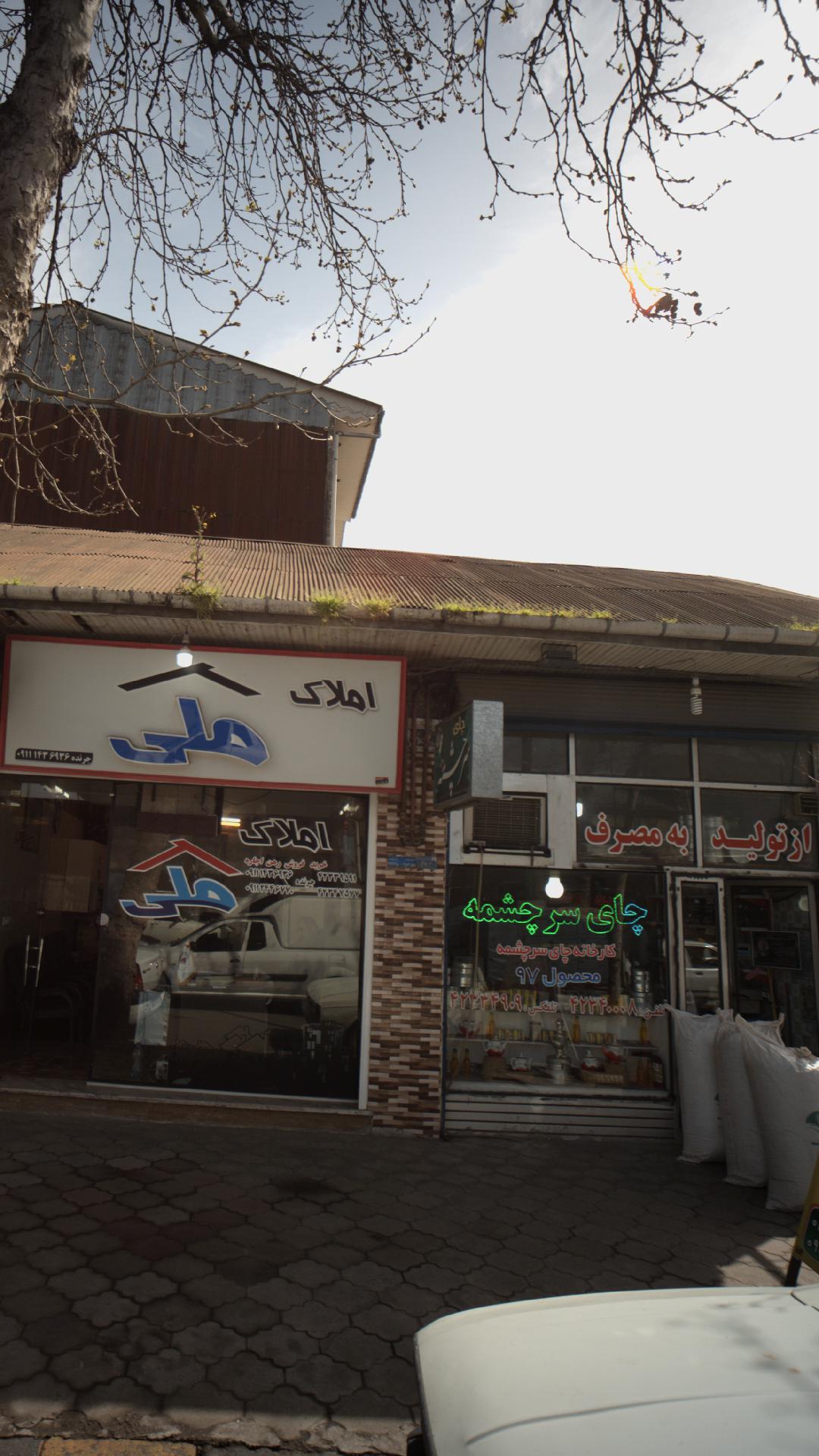 چای سرچشمه