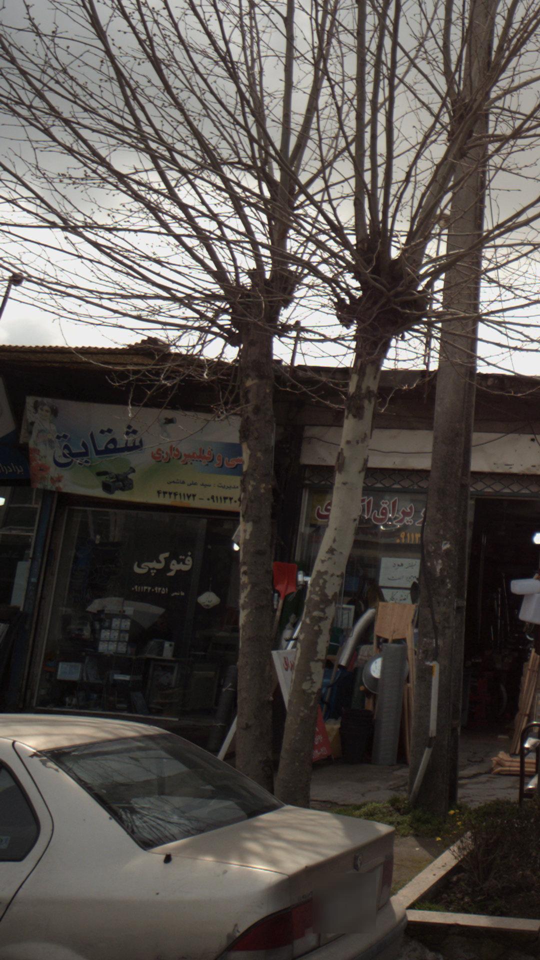 عکاسی و فیلمبرداری شقایق