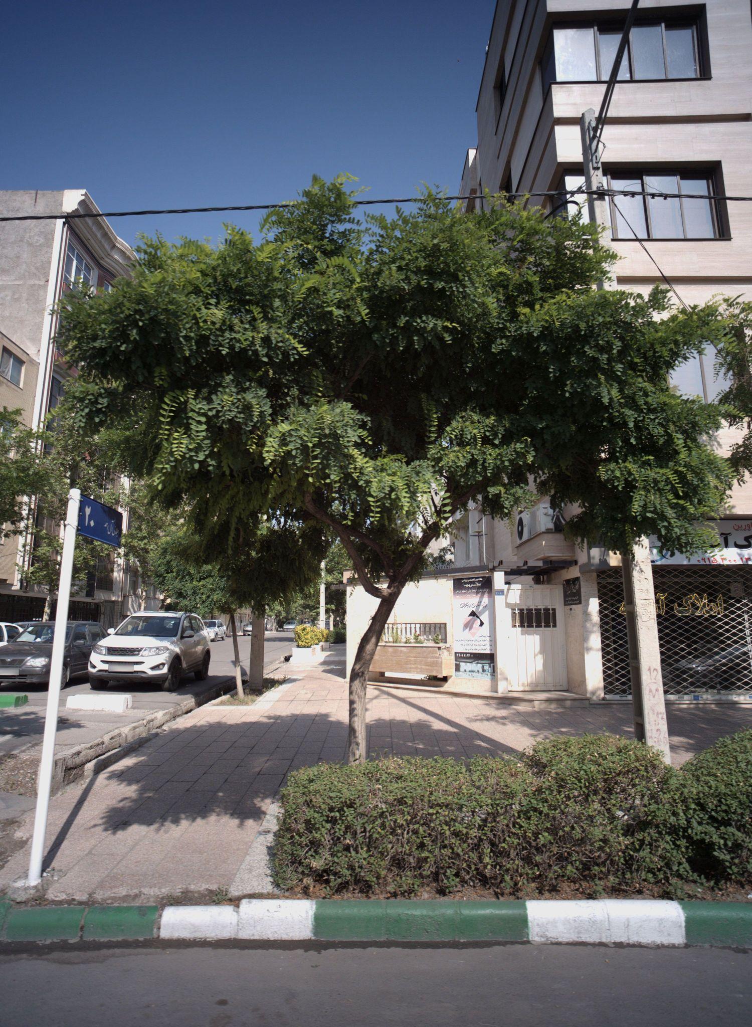 کانون پیلاتس باران _مشهد