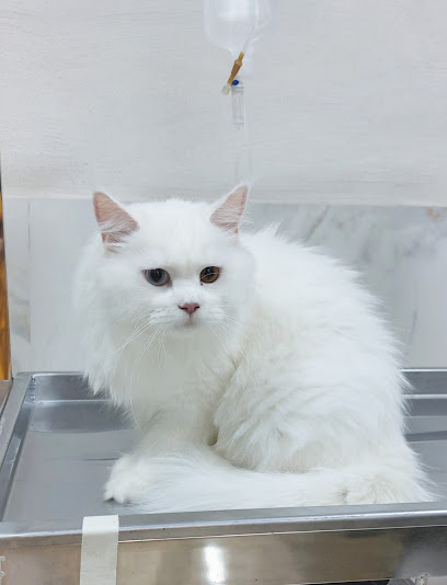 کلینیک دامپزشکی نوبل