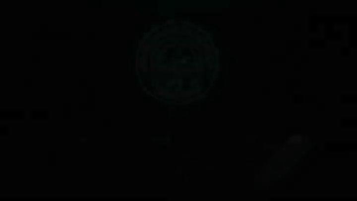 فست فود باما هاس