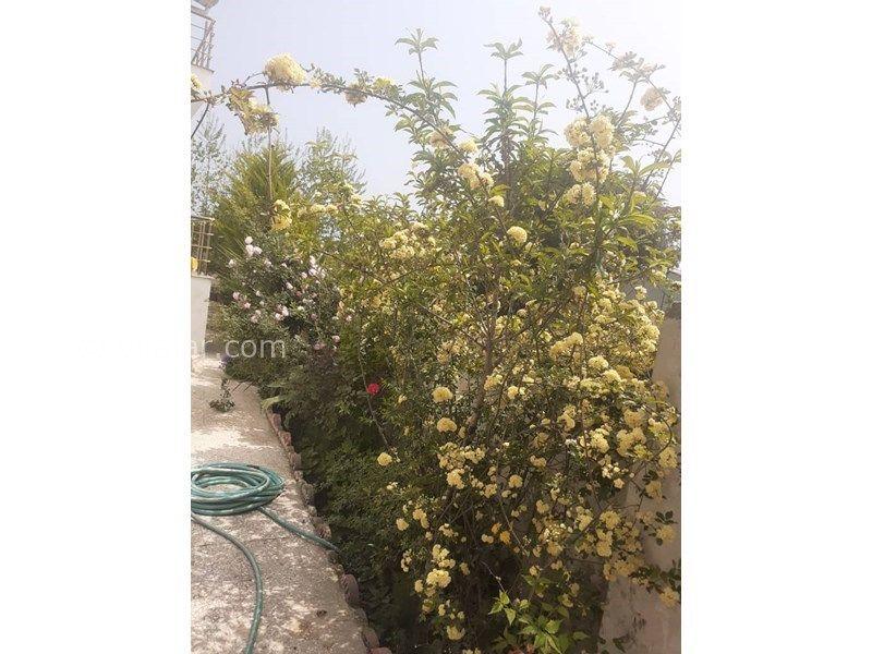 اجاره ویلا با استخر روباز آبگرم نوشهر