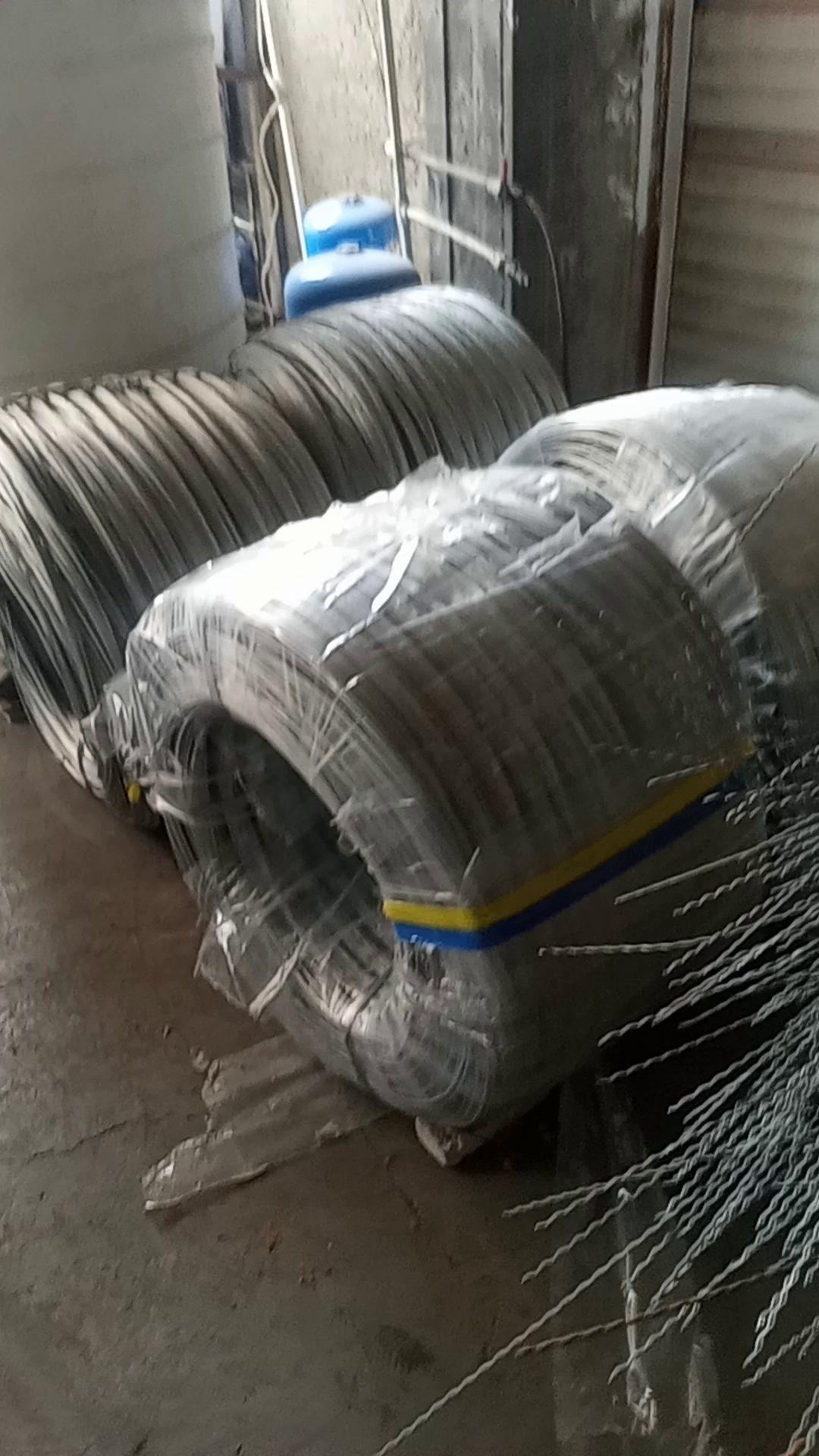 سیم  تونلی و تورالات فلزی زینلی