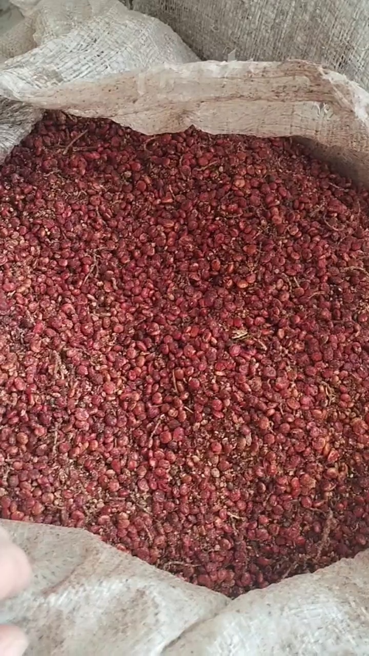 فروشنده عمده و خرده سماق کوهی تبریز