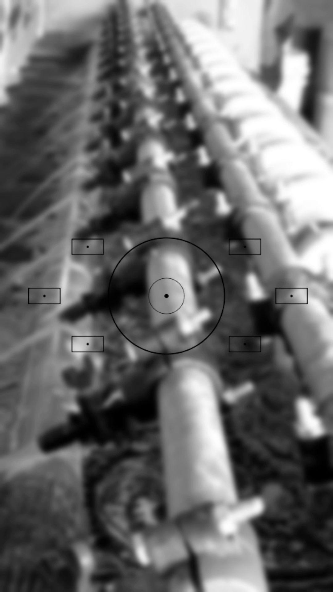 قالیشویی مهدی