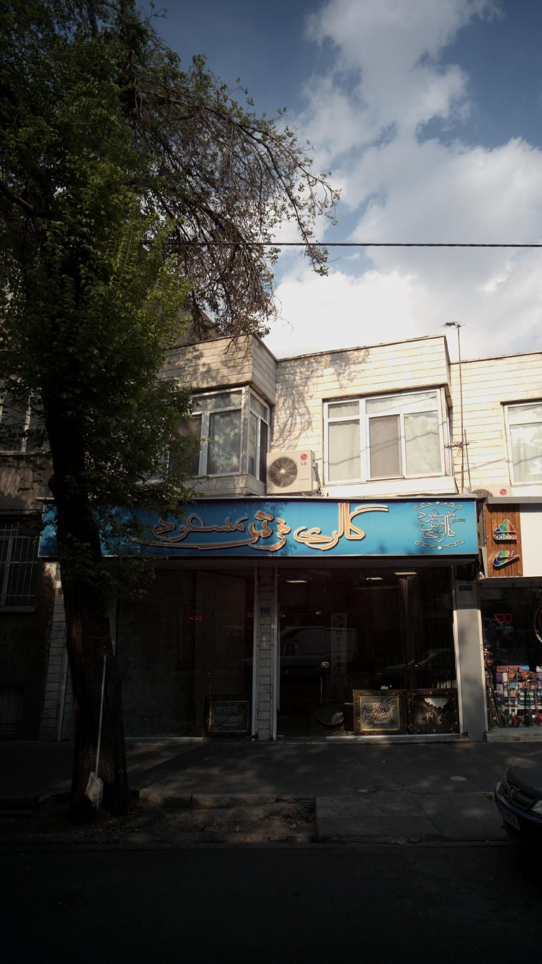 گالری فرش مسعود