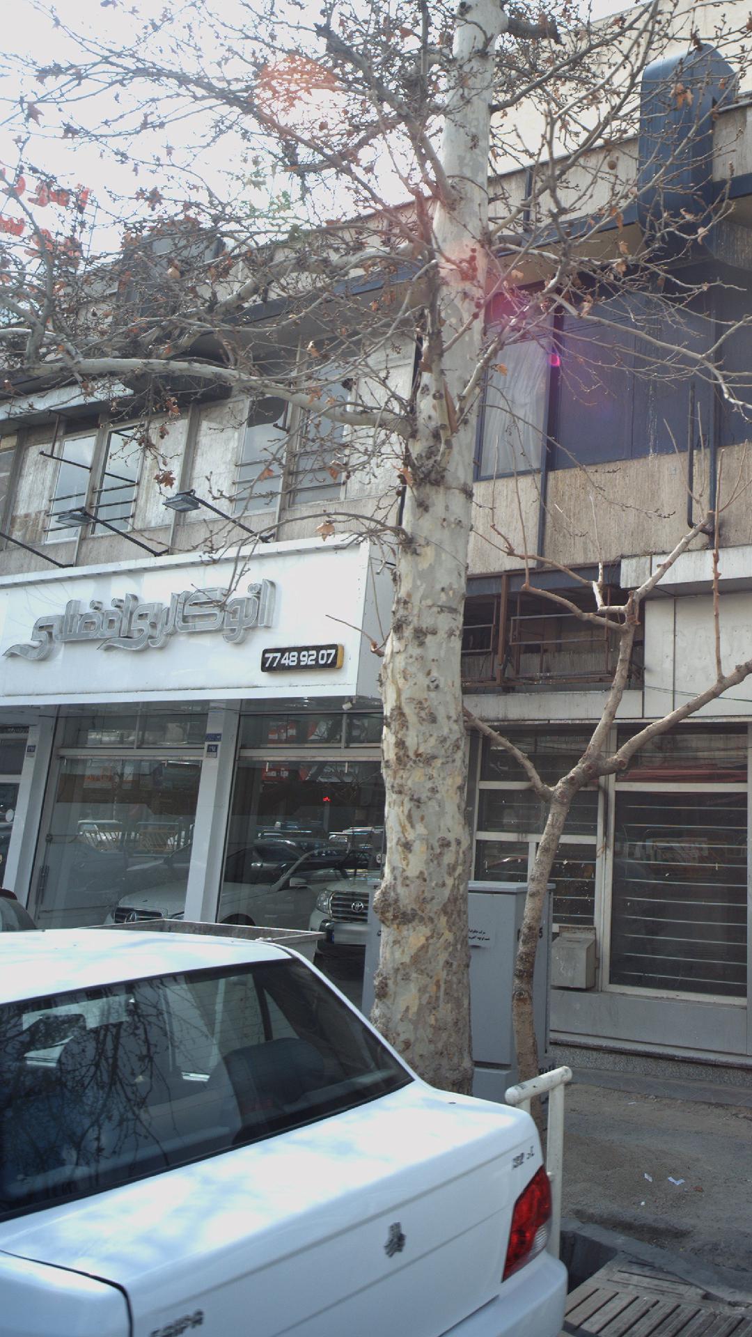 نمایشگاه اتومبیل مسچی