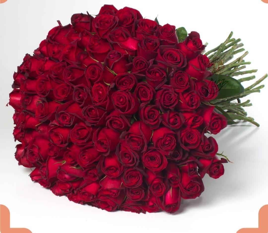 گلسرای امیر