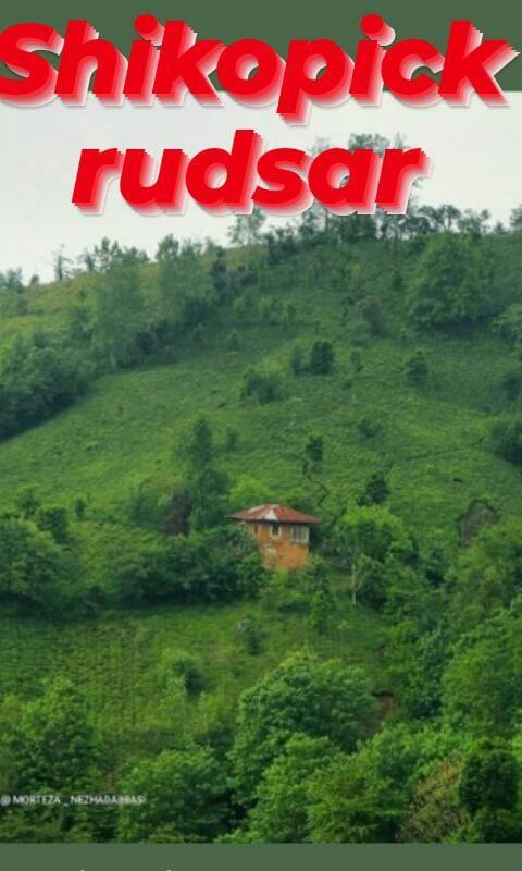 شیک و پیک اشکان