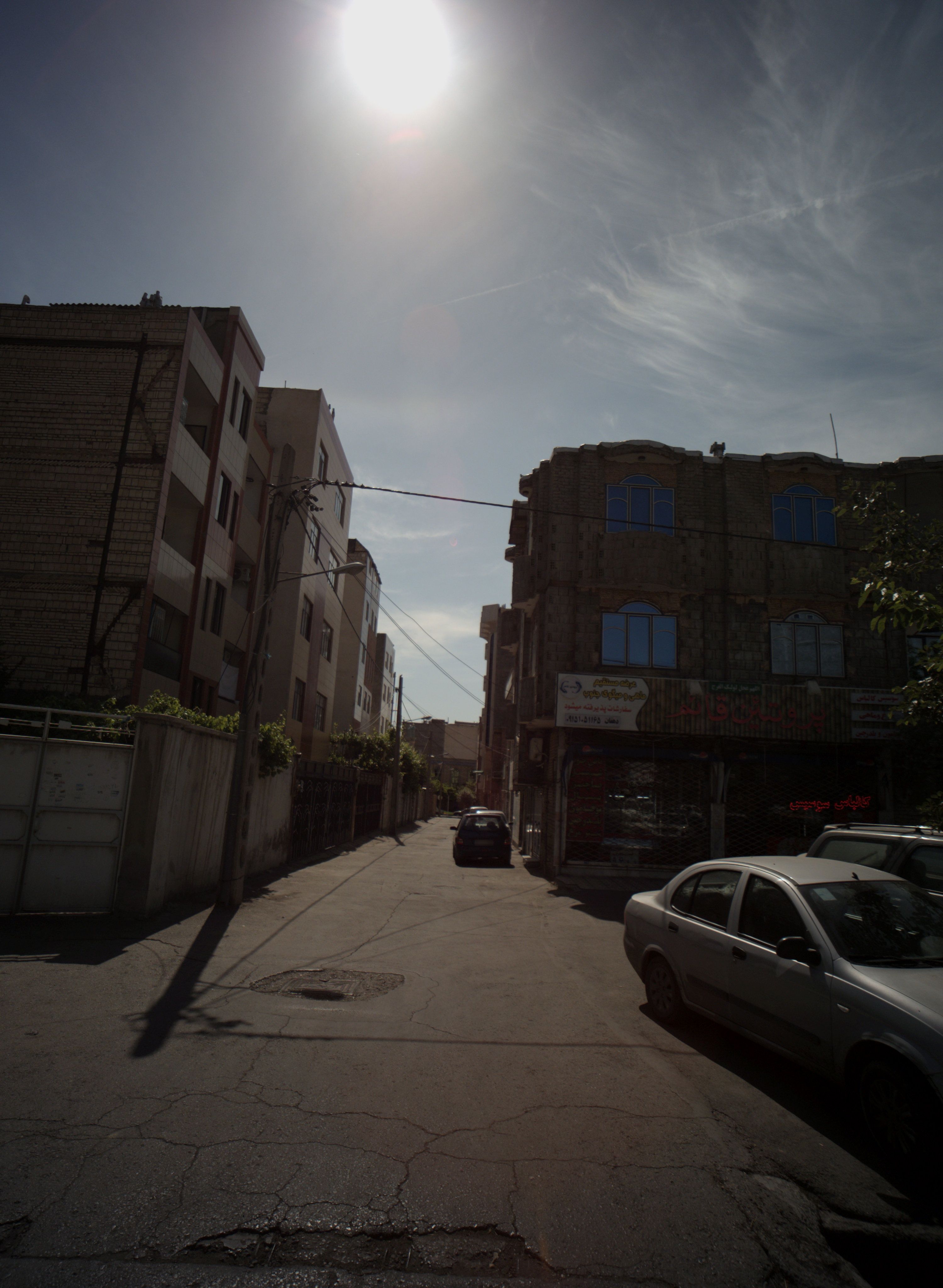 پروتئین قائم