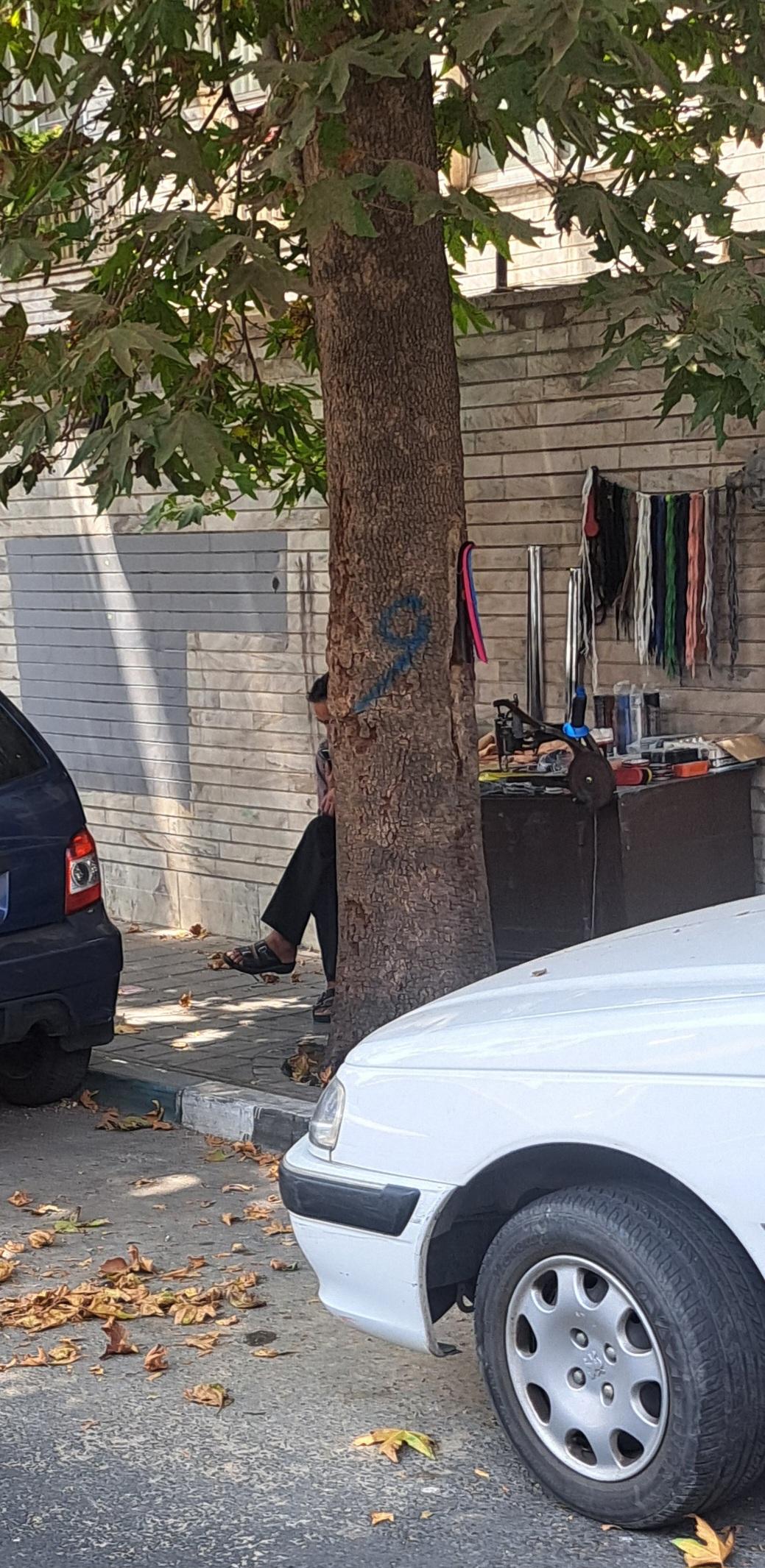 کفاشی عدالت