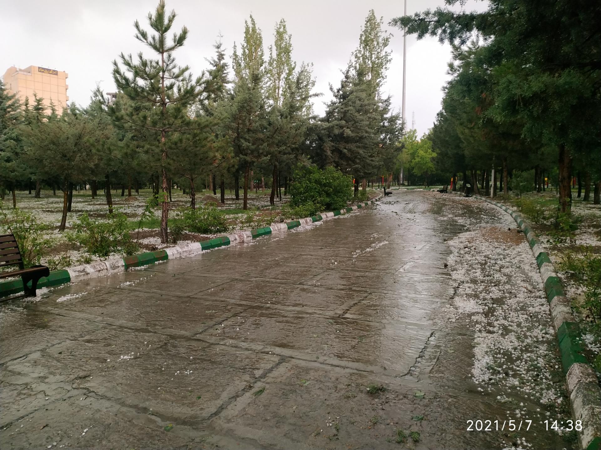 پارک زعفرانیه