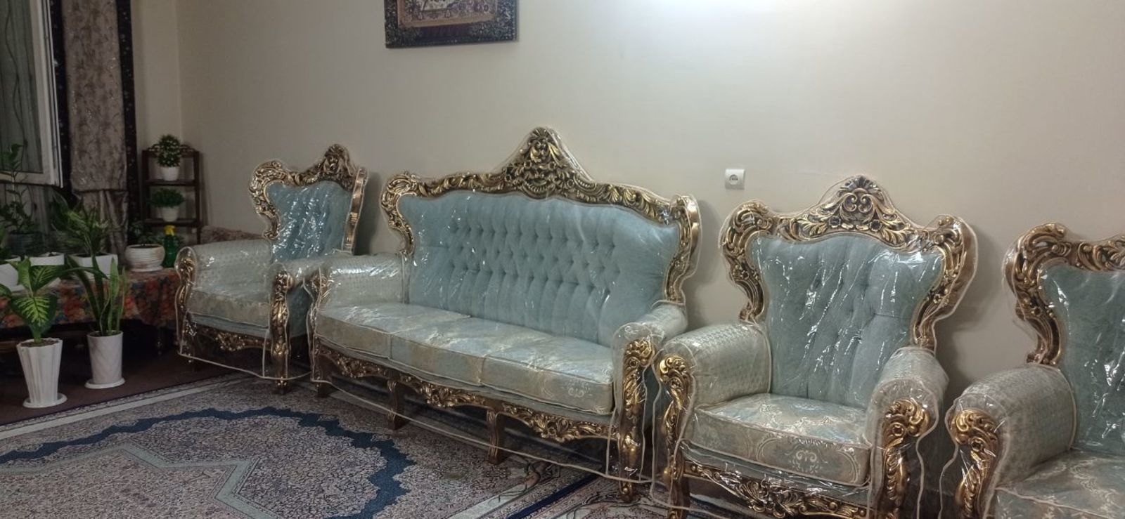 سیده الهه محمدی
