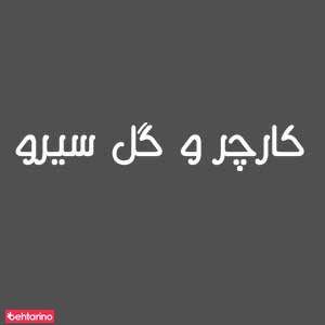 نمایندگی فروش کارچر و گل سیرو