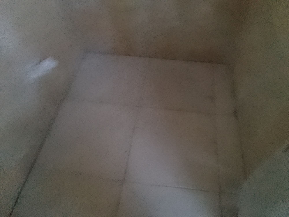 محمدرضا سنائی